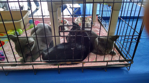 Pet Supply Store «Pet Supplies Plus», reviews and photos, 2057 S Telegraph Rd, Bloomfield Hills, MI 48302, USA