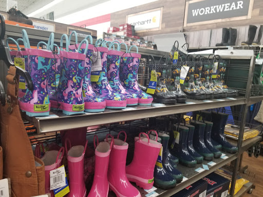 Home Improvement Store «Tractor Supply Co.», reviews and photos, 90 Marketplace Dr, Newnan, GA 30265, USA