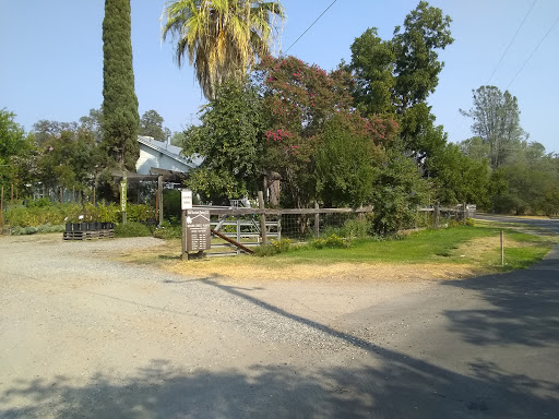 Florist «Bald Mountain Nursery», reviews and photos, 6195 Bald Mountain Rd, Browns Valley, CA 95918, USA