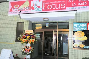 インド・ネパール料理 lotus image