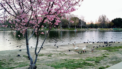 Park «Lake Balboa/Anthony C. Beilenson Park», reviews and photos, 6300 Balboa Blvd, Van Nuys, CA 91406, USA