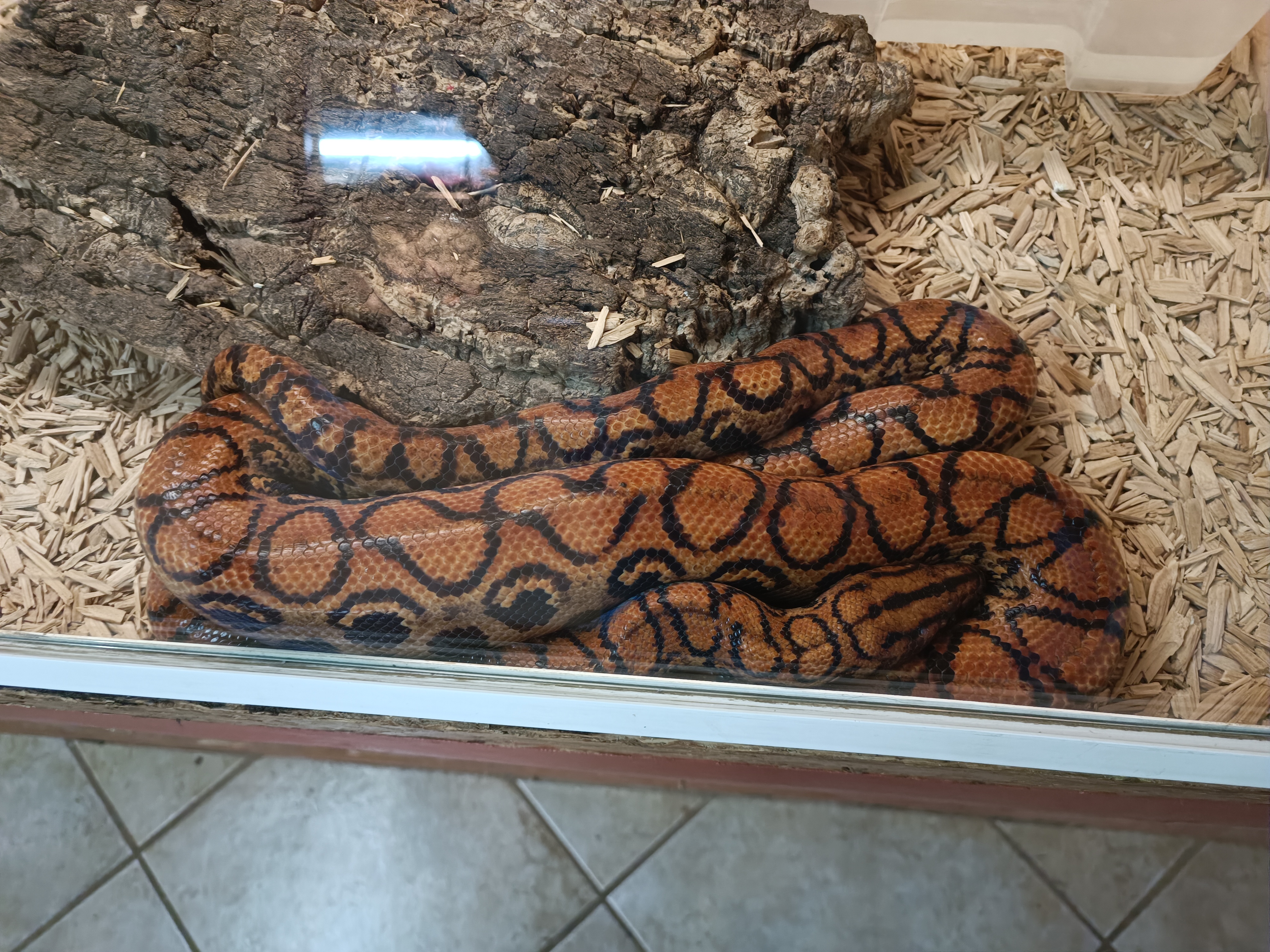 Photo n° 4 de l'avis de Sab.a fait le 12/04/2024 à 11:38