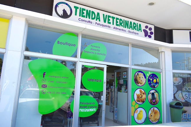 Opiniones de Clínica Veterinaria Madriguera Animal en Viña del Mar - Veterinario