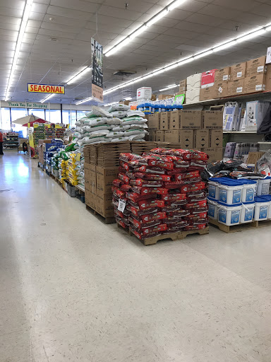 Discount Store «Ocean State Job Lot», reviews and photos, 545 Bridgeport Ave, Milford, CT 06460, USA