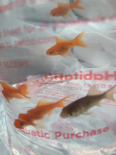 Pet Supply Store «Petco Animal Supplies», reviews and photos, 7215 170th Ave NE #115, Redmond, WA 98052, USA