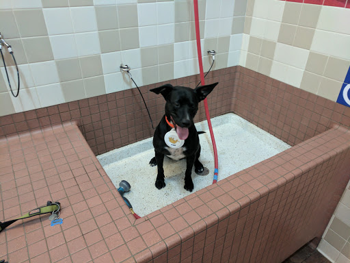 Pet Supply Store «Pet Food Express», reviews and photos, 320 S Lake Ave, Pasadena, CA 91101, USA