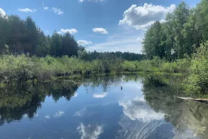 Mazowiecki Landscape Park image