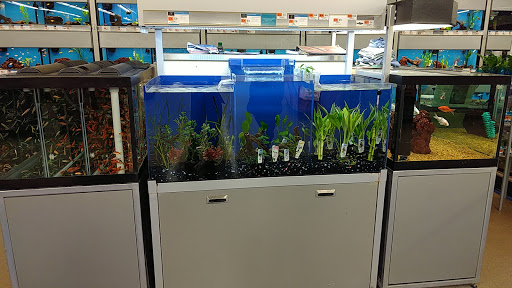 Pet Supply Store «Petco Animal Supplies», reviews and photos, 205 Washington St #11, Hudson, MA 01749, USA