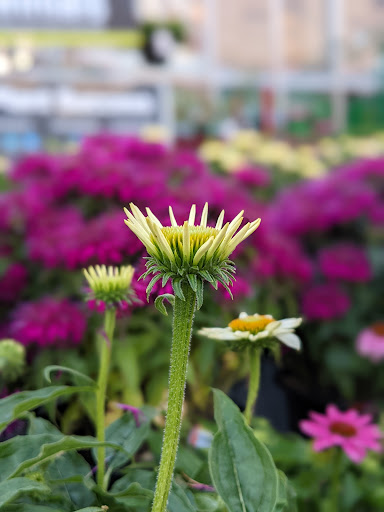 Home Improvement Store «The Home Depot», reviews and photos, 9051 Snowden River Pkwy, Columbia, MD 21046, USA