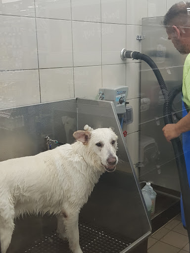 Pet Supply Store «Pet Supplies Plus», reviews and photos, 6030 Central Ave Suite A, Portage, IN 46368, USA