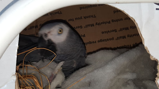 Bird Shop «BirdFarm Superstore», reviews and photos, 6360 Suncoast Parkway, Homosassa, FL 34446, USA