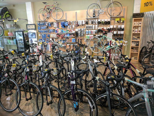 Bicycle wholesaler Elk Grove