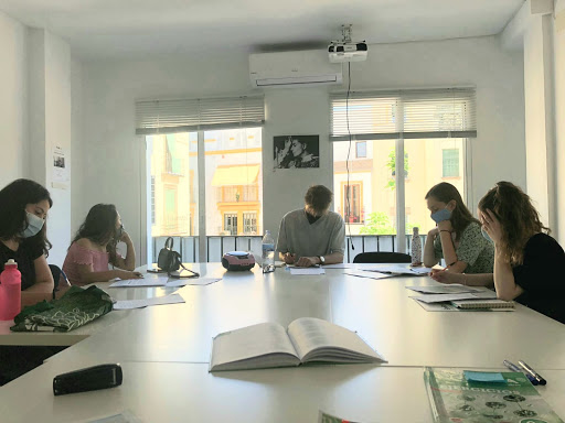 Sevilla Habla, Spanish Courses in Seville, Cursos de español en Sevilla, Escuela de idiomas en Seville,Sevilla