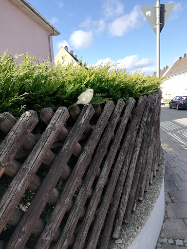 Tierrettung Hochfranken e.V. unter Kirchenlamitz, Bayern