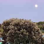 Photo n°2 de l'avis de Fabio.e fait le 07/07/2023 à 16:44 sur le  Club Hotel Marina Beach à Orosei