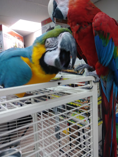Pet Store «Feed-Rite Pet Supply», reviews and photos, 2979 Fort St, Lincoln Park, MI 48146, USA