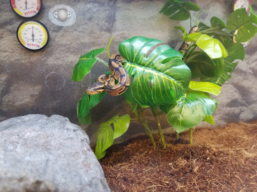 Pet Supply Store «Petco Animal Supplies», reviews and photos, 3320 Stockton Hill Rd, Kingman, AZ 86409, USA