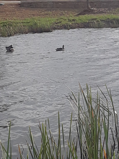 Park «Liberty Park», reviews and photos, 5825 Holiday Ln, North Richland Hills, TX 76180, USA