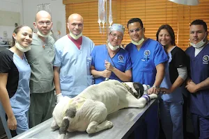 Contreras Veterinary Services Savaneta image