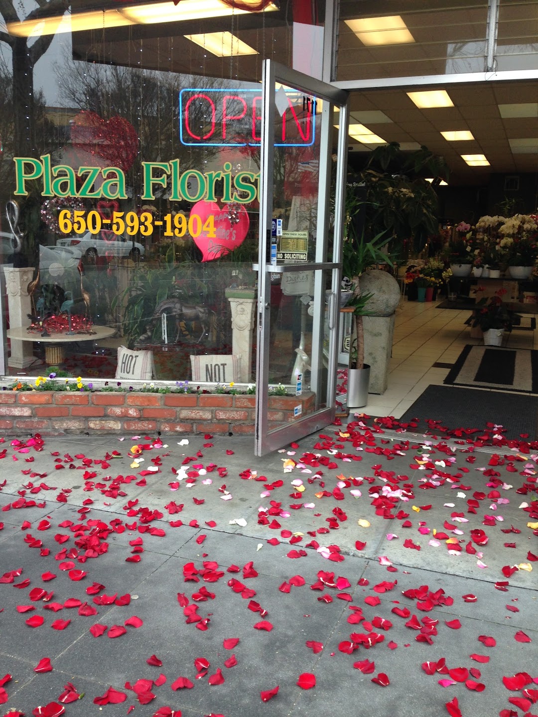 Plaza Florist and Gifts