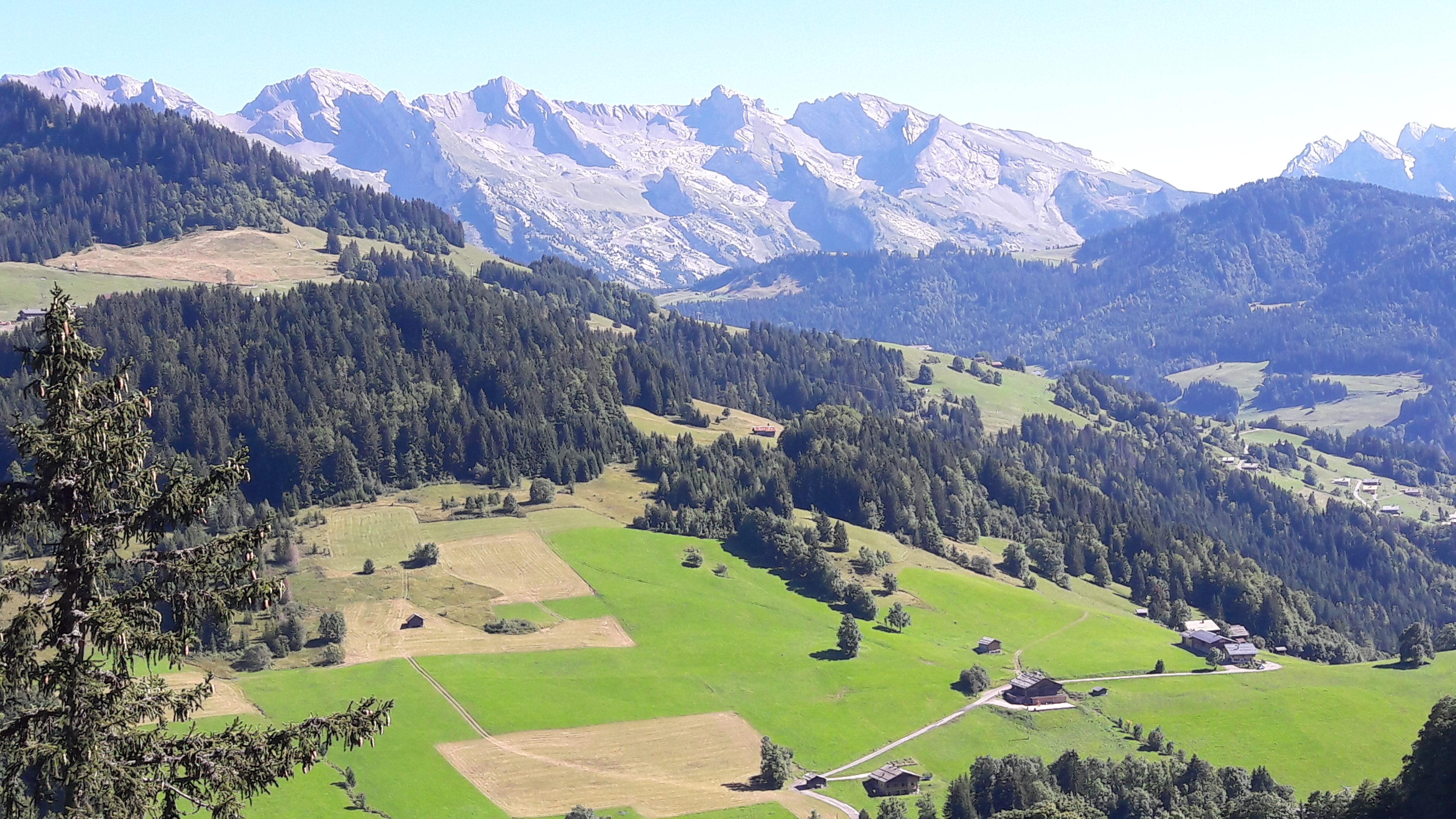 Photo n° 9 de l'avis de Patrice.a fait le 25/08/2017 à 04:02