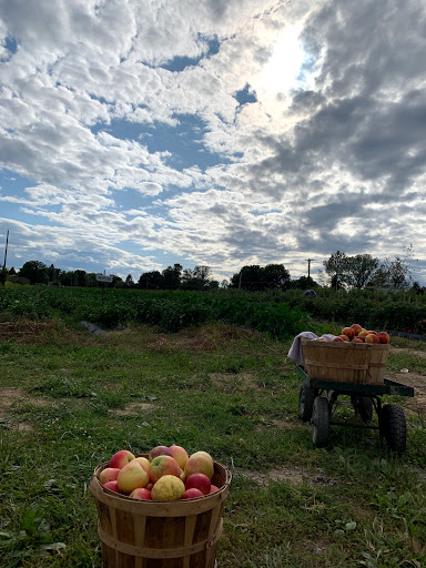 Produce Market «Race Farm», reviews and photos, 87 Belcher Rd, Blairstown, NJ 07825, USA