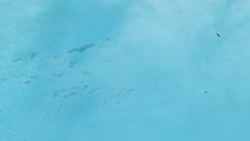 House Cleaning Service «Molly Maid», reviews and photos, 811 Alpha Dr #333, Richardson, TX 75081, USA