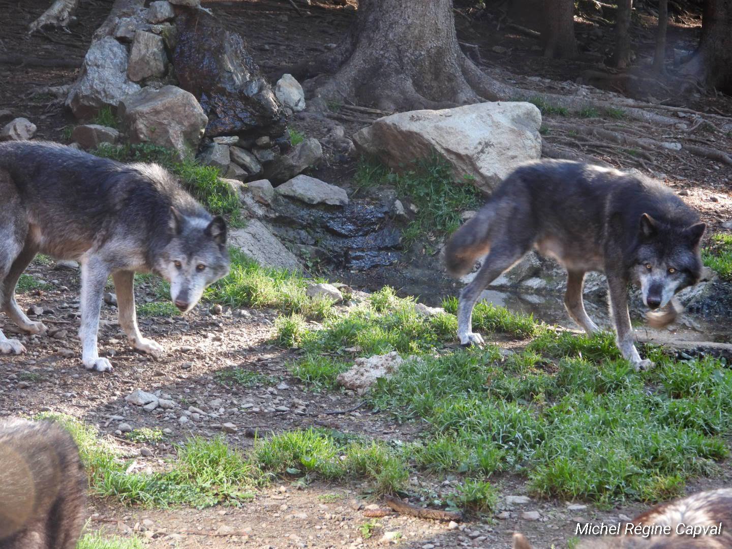 Photo n° 35 de l'avis de michel.a fait le 03/10/2019 à 13:25