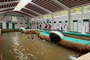 Ixtapan Aquatic Park image