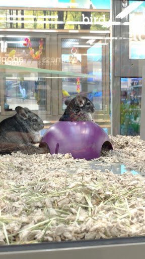 Pet Supply Store «Petco Animal Supplies», reviews and photos, 3495 Sports Arena Blvd, San Diego, CA 92110, USA