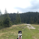 Photo n°3 de l'avis de lovely.u fait le 12/08/2023 à 16:55 sur le  Malga Coltrondo à Comelico Superiore