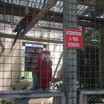 Photo n° 1 de l'avis de Margot.m fait le 05/07/2020 à 20:12 pour Parc animalier et parc d'attractions, Le Jardin des Bêtes à Montrozier