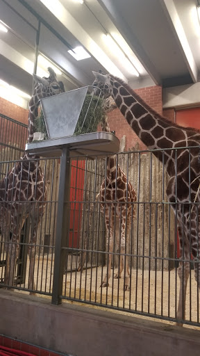 Zoo «Monkey Island», reviews and photos, 8 E 23rd Ave, Denver, CO 80205, USA