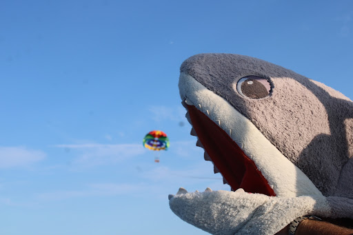 Tourist Attraction «Hampton Beach Parasail and SUP Rental», reviews and photos, 1 Ocean Blvd, Hampton, NH 03842, USA
