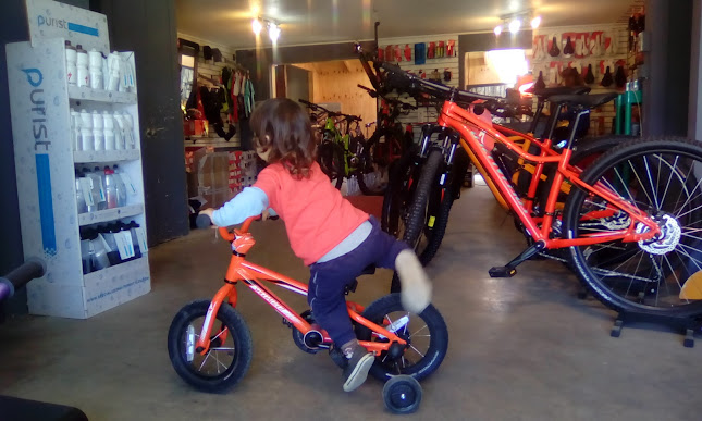 Opiniones de Multibike San Pedro en San Pedro de La Paz - Tienda de bicicletas
