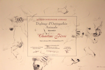 Charline FEVRE ostéopathe animalier - Région PACA à Le Thor