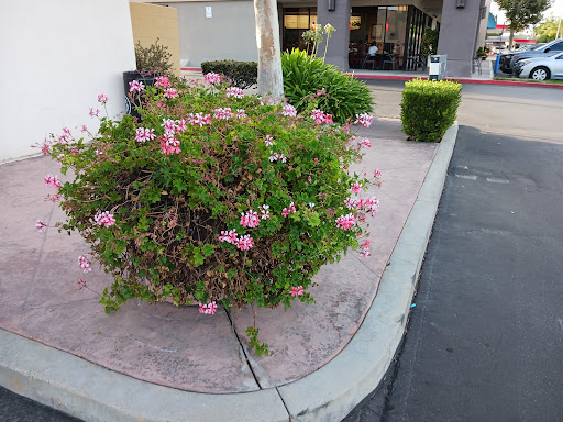 Ice Cream Shop «Cold Stone Creamery», reviews and photos, 17270 Saticoy St, Van Nuys, CA 91406, USA