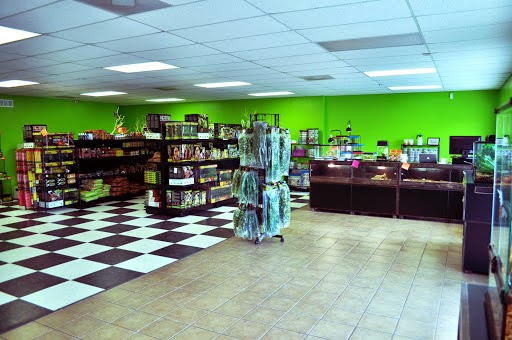 Reptile Store «Reptile Pets Direct», reviews and photos, 8088 Pat Booker Rd, Live Oak, TX 78233, USA