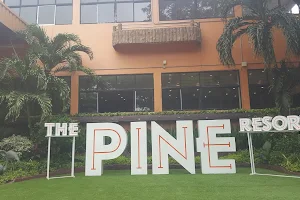The Pine Resort image