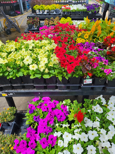 Discount Store «Walmart», reviews and photos, 2150 E National Ave, Brazil, IN 47834, USA