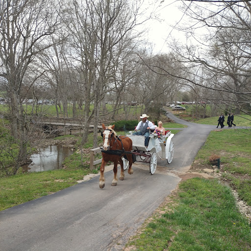 Winery «Sassafras Springs Vineyard and Winery», reviews and photos, 6461 E Guy Terry Rd, Springdale, AR 72764, USA