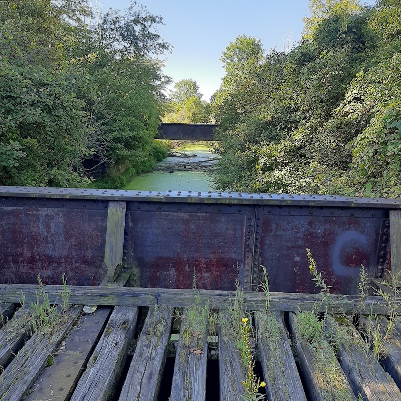 Marion Tallgrass Trail