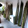 bamboo import gmbh