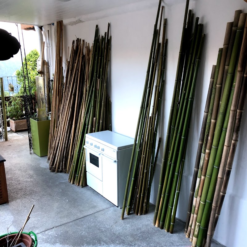 bamboo import gmbh