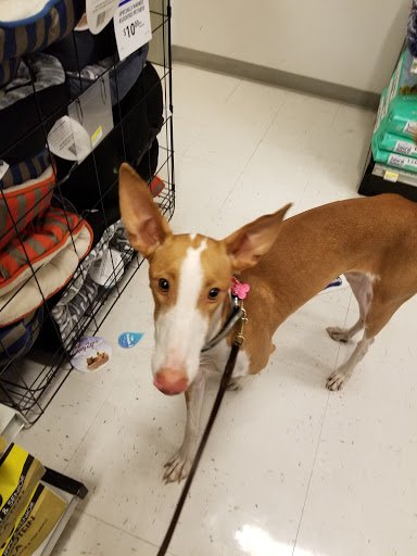 Animal Feed Store «Wilco Farm Store», reviews and photos, 664 W Baseline St, Cornelius, OR 97113, USA