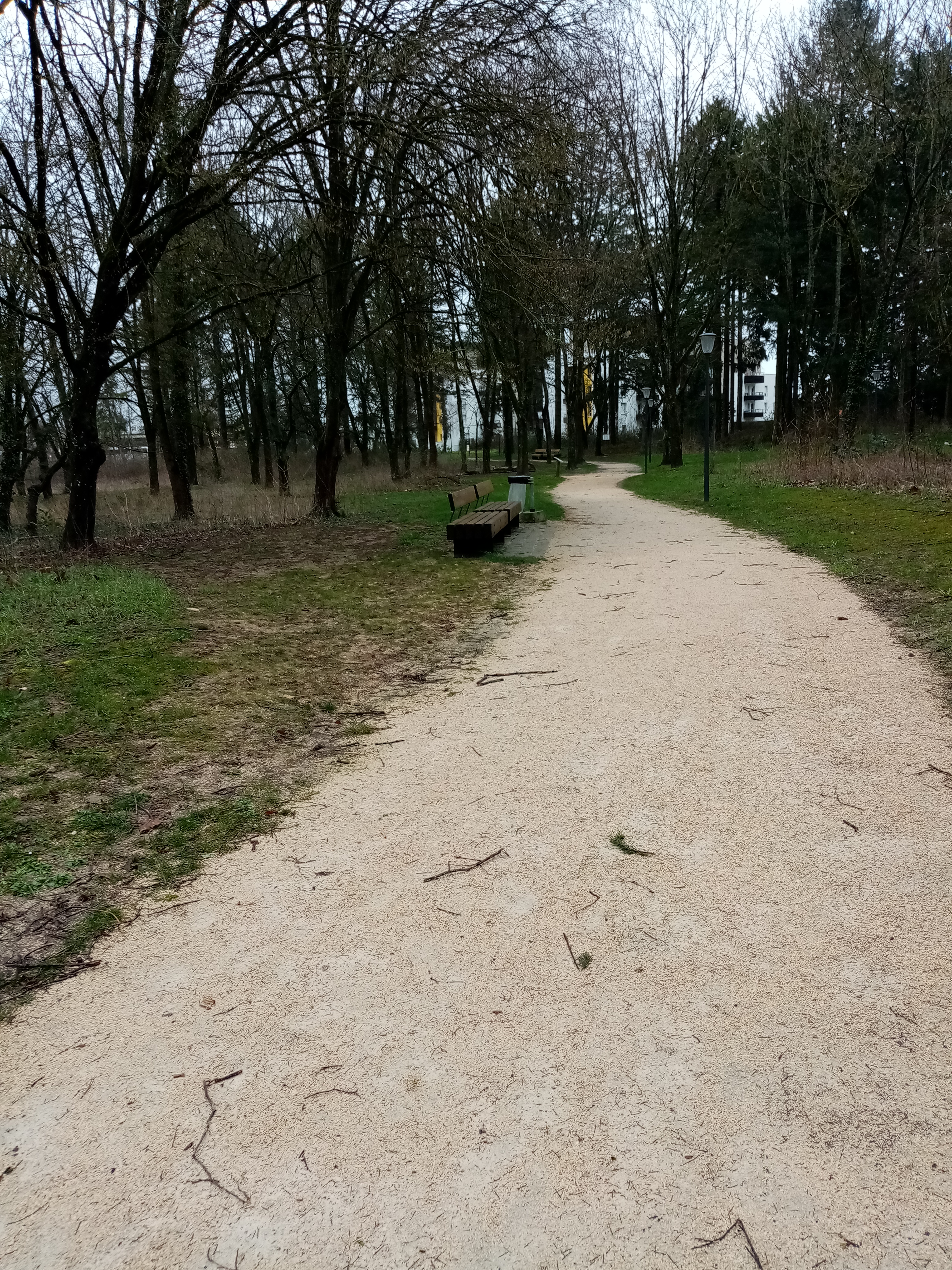 Photo n° 3 de l'avis de fanyse.M fait le 10/03/2020 à 21:25