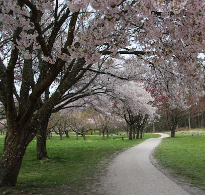 Marselisborg Mindepark