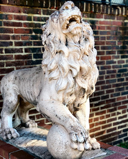 Book Store «Protean Books & Records», reviews and photos, 836 Leadenhall St, Baltimore, MD 21230, USA