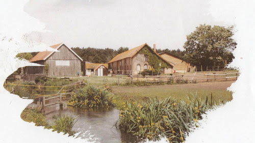 Centre équestre Poney Club De Changé Changé