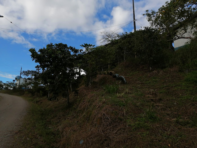 WGWG+M58, Pan de Azúcar, Ecuador